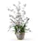 2ft. White Dancing Lady Orchid Arrangement in Ceramic Vase